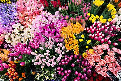 卧龙苍天陨落情谊酒杯怎么获得？卧龙苍天陨落情谊酒杯在哪刷？