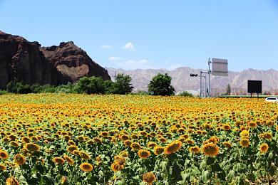 《与狼同行2》2023年发行 全新基于引擎预告片公布